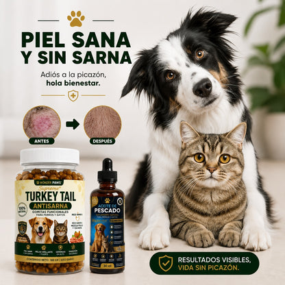 PawVital 2 en 1 | Bienestar completo para tu mascota, por dentro y por fuera.