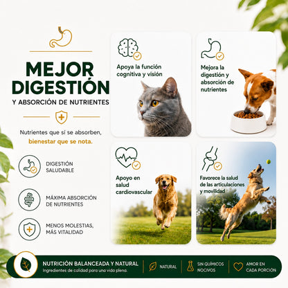PawVital 2 en 1 | Bienestar completo para tu mascota, por dentro y por fuera.