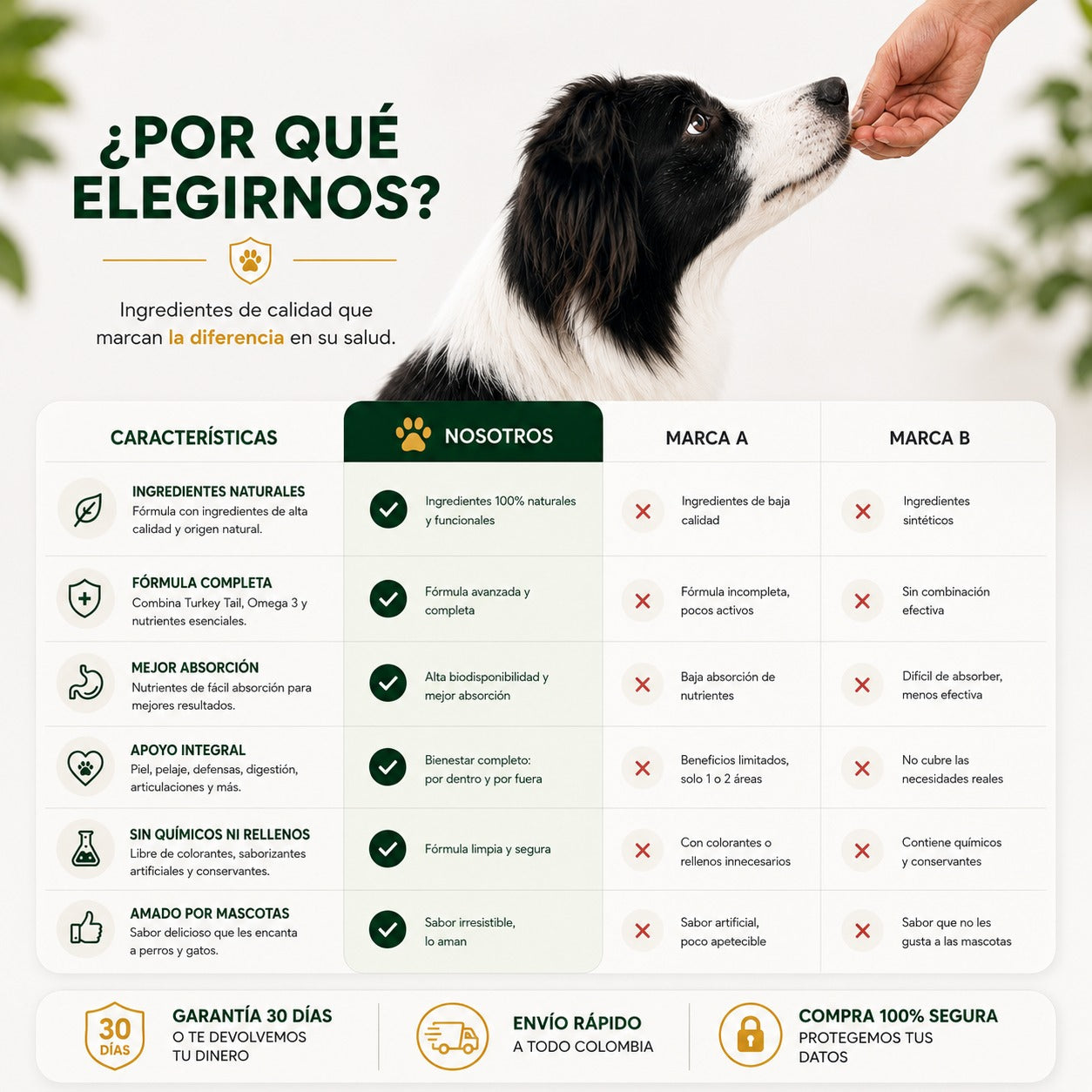 PawVital 2 en 1 | Bienestar completo para tu mascota, por dentro y por fuera.
